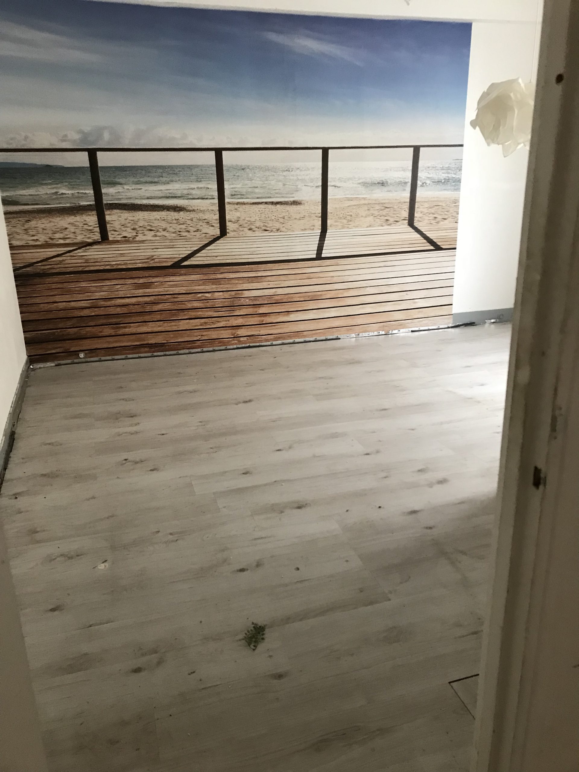 Débarras Experts - Nettoyage Syndrone de Diogène