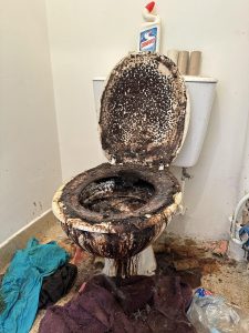 debarras expert diogene_2 Entreprise syndrome de diogène