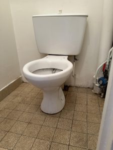 debarras expert diogene_3 Entreprise syndrome de diogène